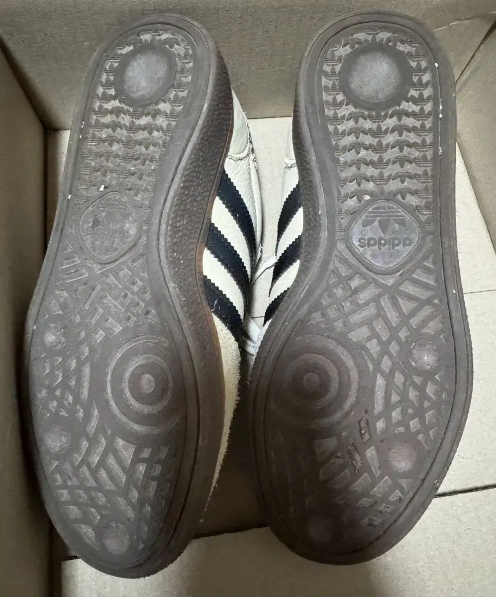 W ワンダーベイ