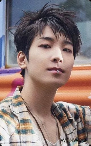 中古】コレクションカード(男性) SEVENTEEN/WONWOO(ウォヌ)/CD