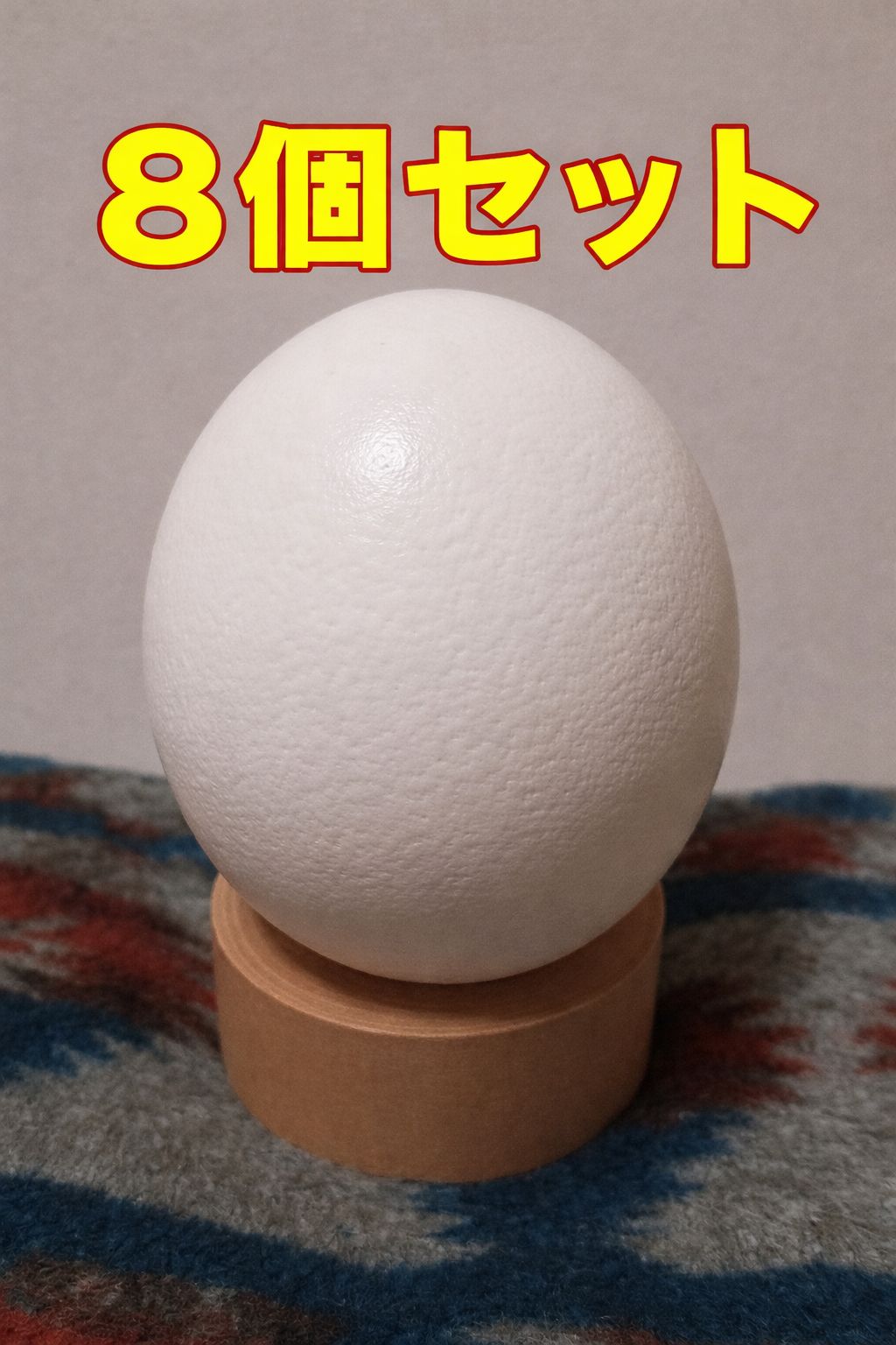 美術品・アンティーク・コレクション 3F 本物・希少ダチョウの卵