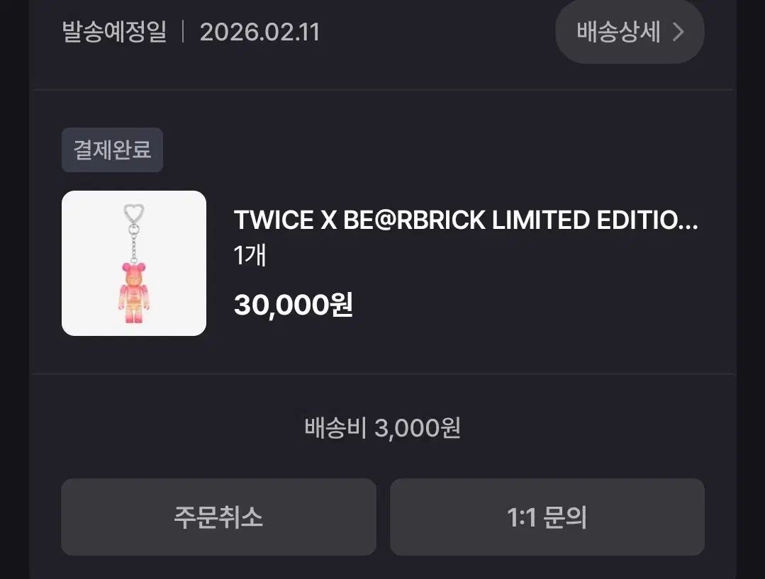 TWICE トゥワイス BE RBRICK ベアブリック