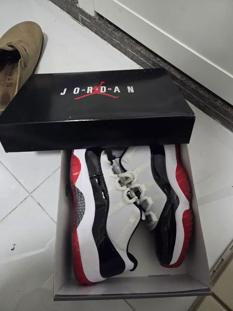 ジョーダン 11 レトロ ロー コンコルド ブレーザー | 265