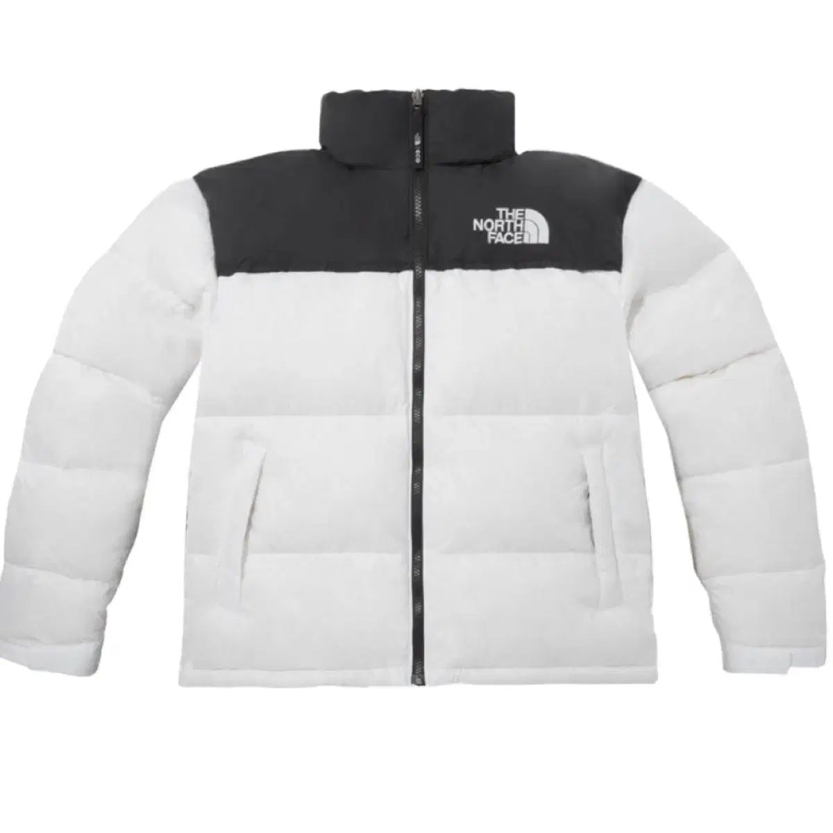 THE NORTH FACE 1996 エコー ヌプシ 白 ダウン XL