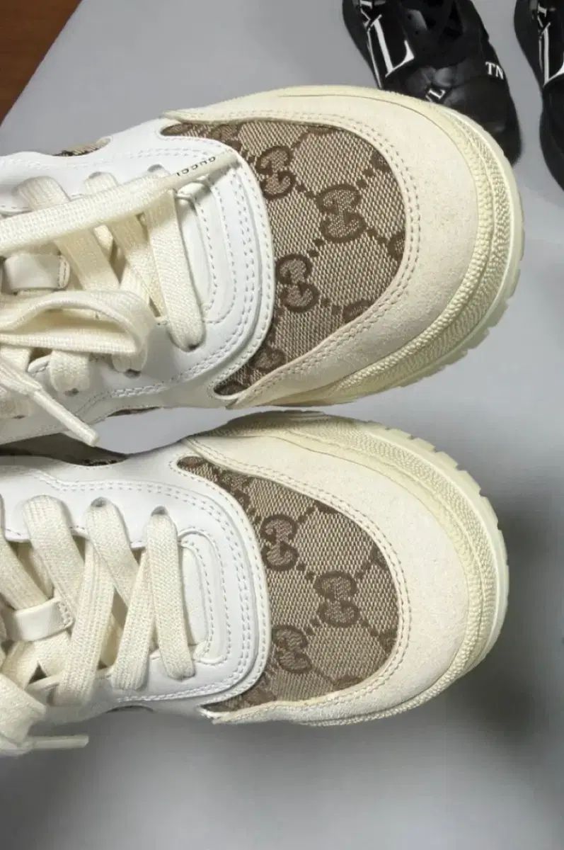 25 FW グッチ リーウェブ スニーカー 25.