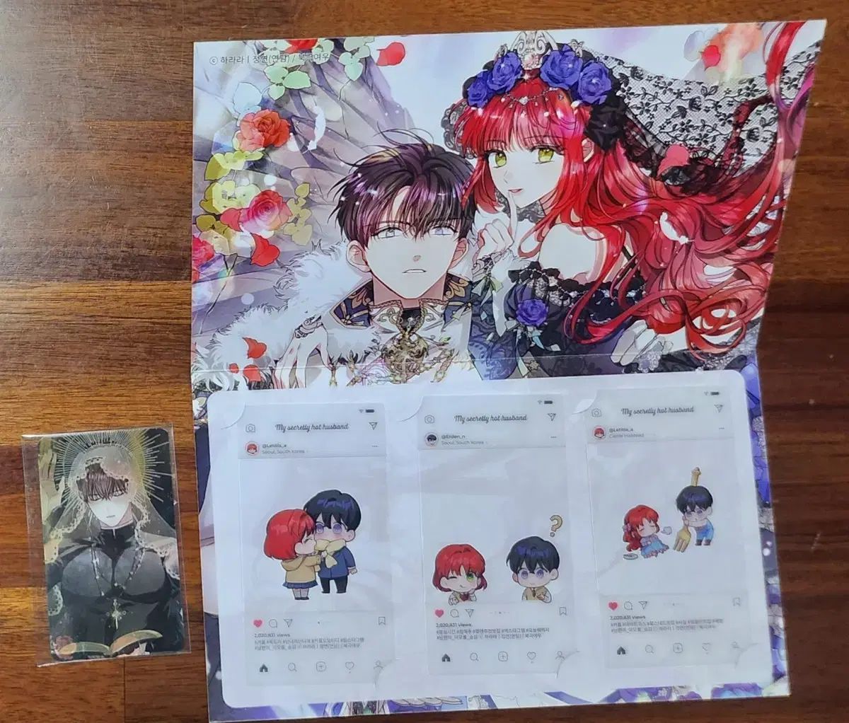  南米の夫が美貌を隠す MOFUN トレカ はがき コースター その他 タレントグッズ