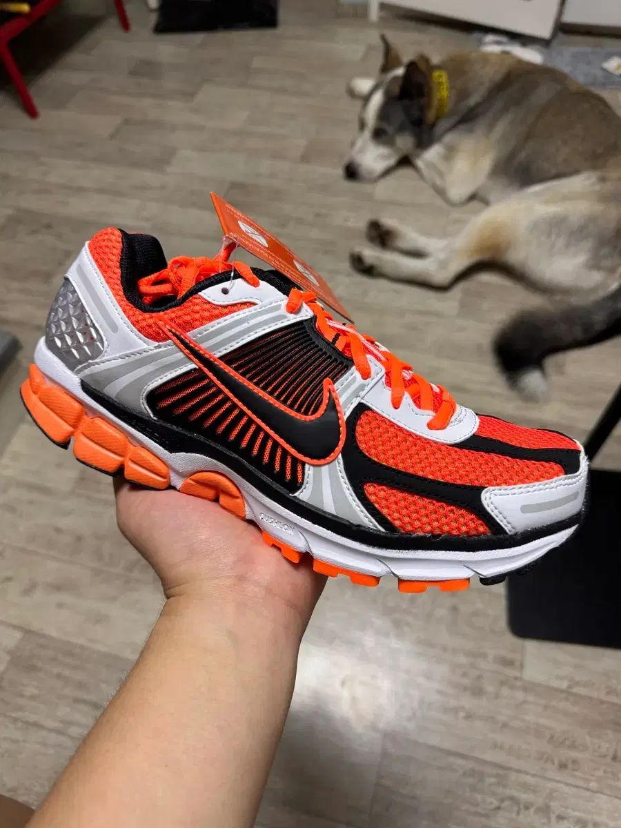 ナイキ ズーム ボメロ5 トゥー オレンジ 265