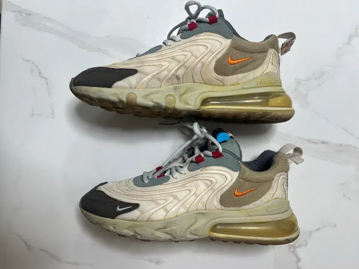 カクタス トレイル