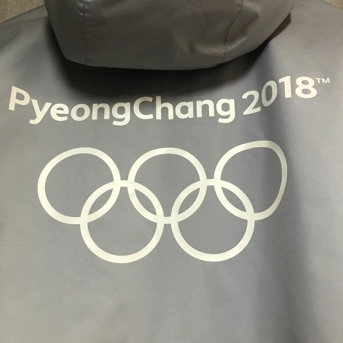 THE NORTH FACE ザノースフェイス 平昌 2018 オリンピック 限定 スキー