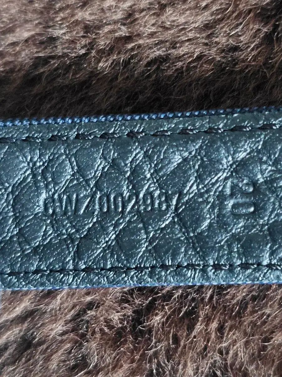 バックルセット