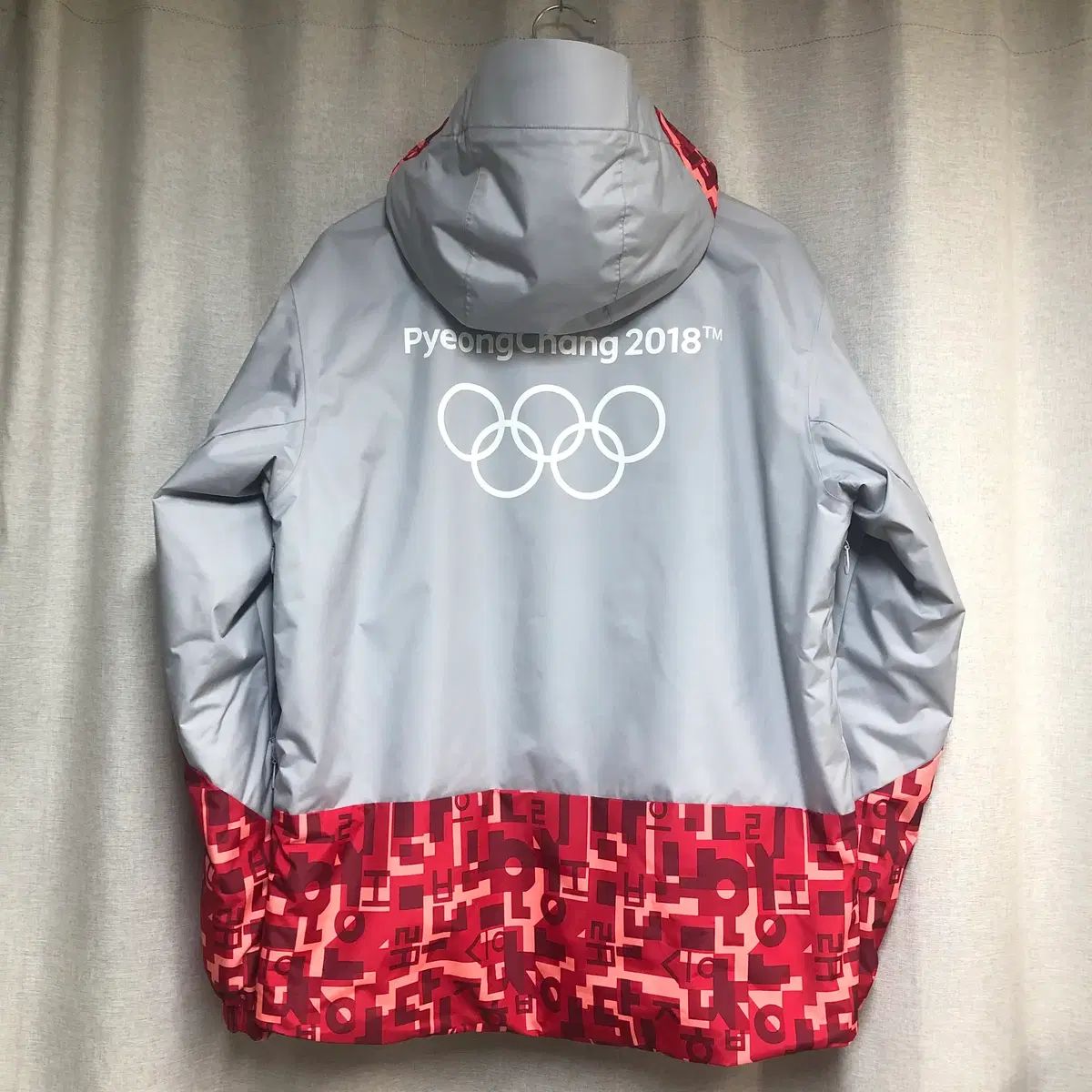 THE NORTH FACE ザノースフェイス 平昌 2018 オリンピック 限定 スキー