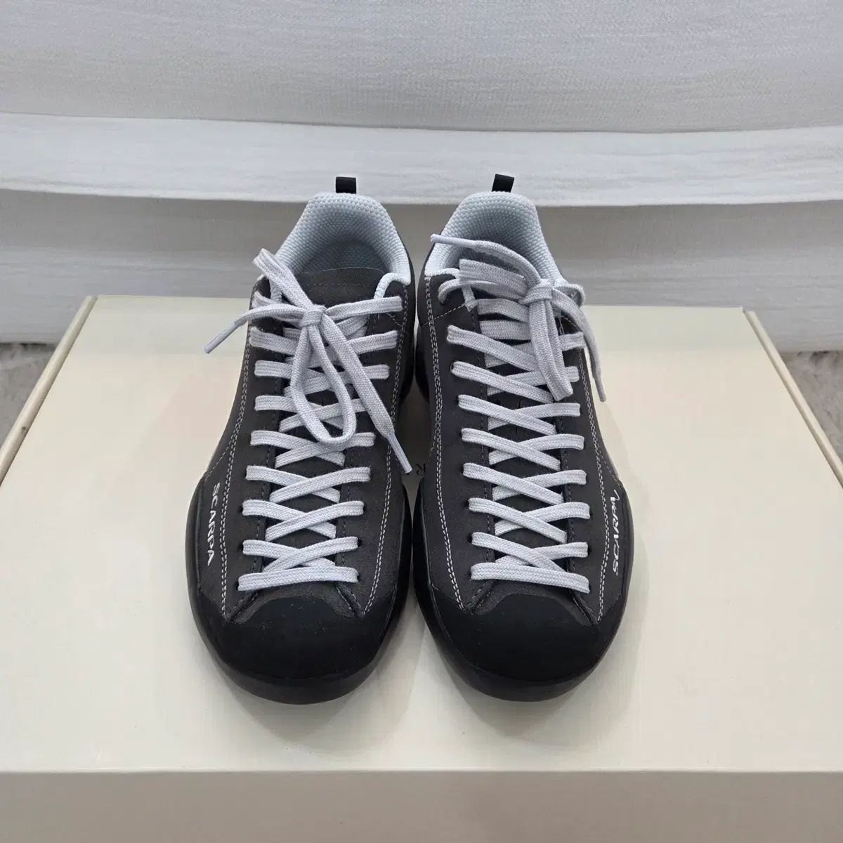 SCARPA スカルパ ウール モヒート シャーク 2025 250