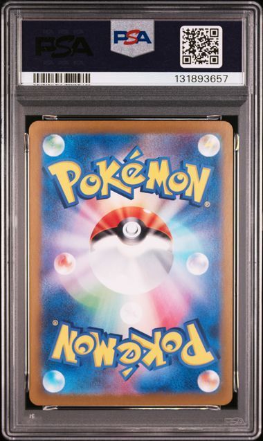 テラスタルフェス