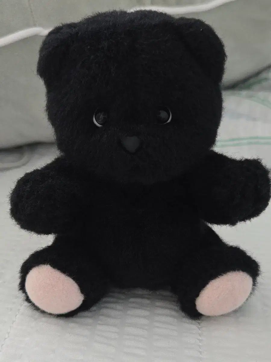 テディテイルズ ブラック ミニ ベア XSサイズ