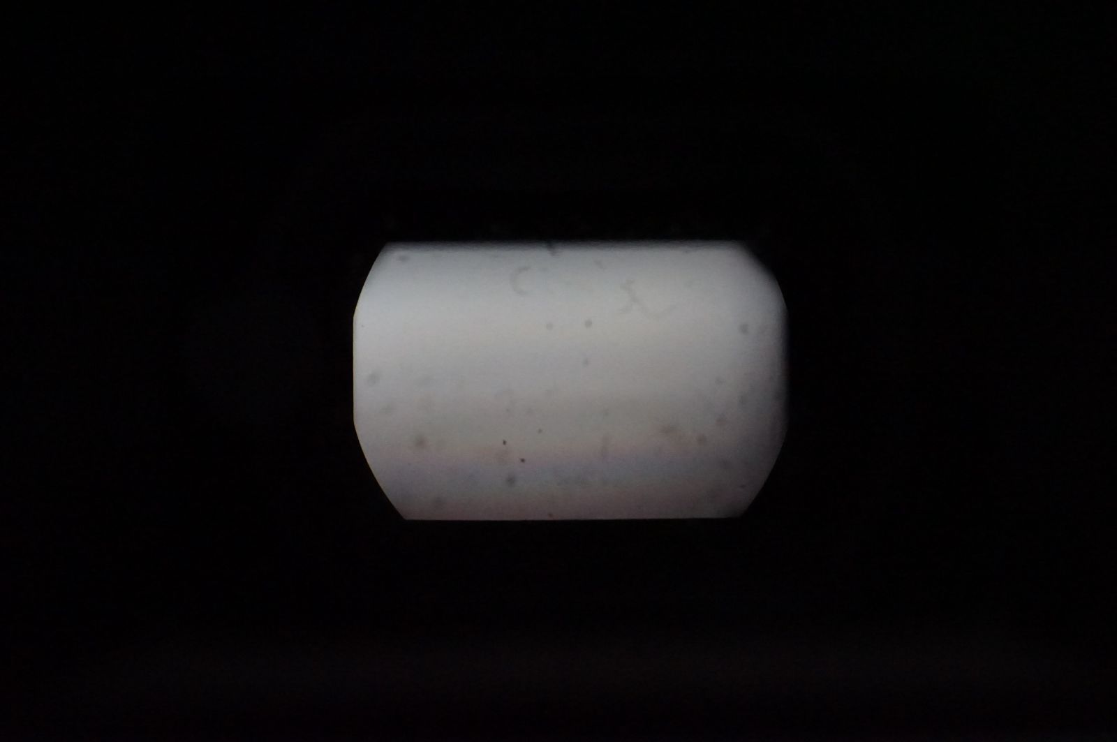  L 241037 Canon キヤノン EOS Kiss X 7 デジタル一眼レフカメラ EF-S 18-55 mm F 3.5-5.6 IS STM デジタル一眼レフ デジタルカメラ