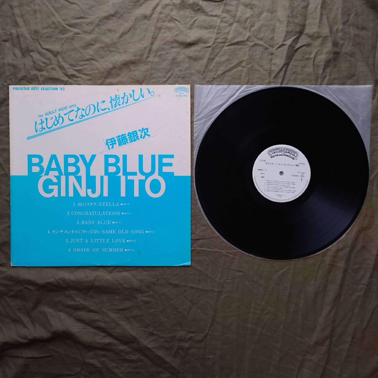 ☆レア☆Pole / Steingarten / 2枚組LP ☆レア☆Pole / Steingarten / 2枚組LP steigarten remixes | pole