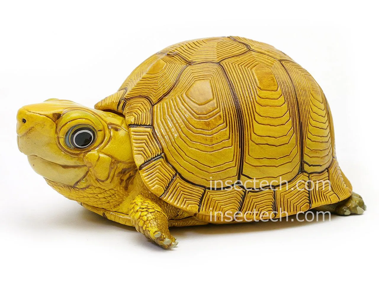 2026年最新】動物の惑星 シークレットの人気アイテム - メルカリ