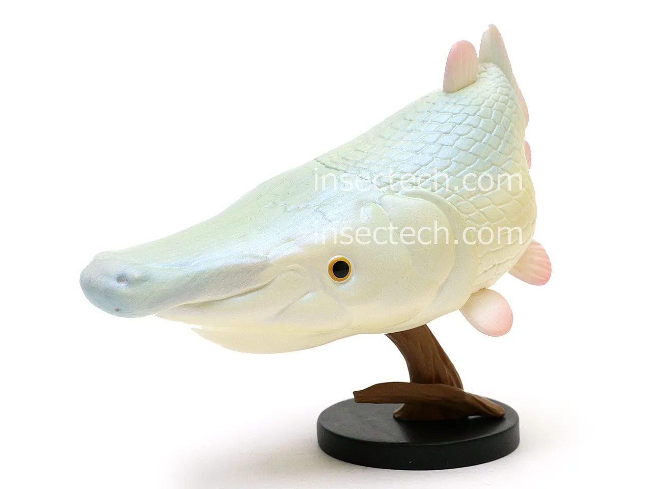 2026年最新】動物の惑星 シークレットの人気アイテム - メルカリ