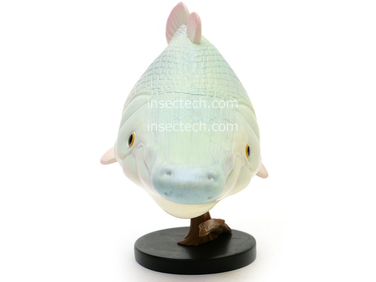 動物の惑星】「シークレット」プラチナ・アリゲーターガー フィギュア