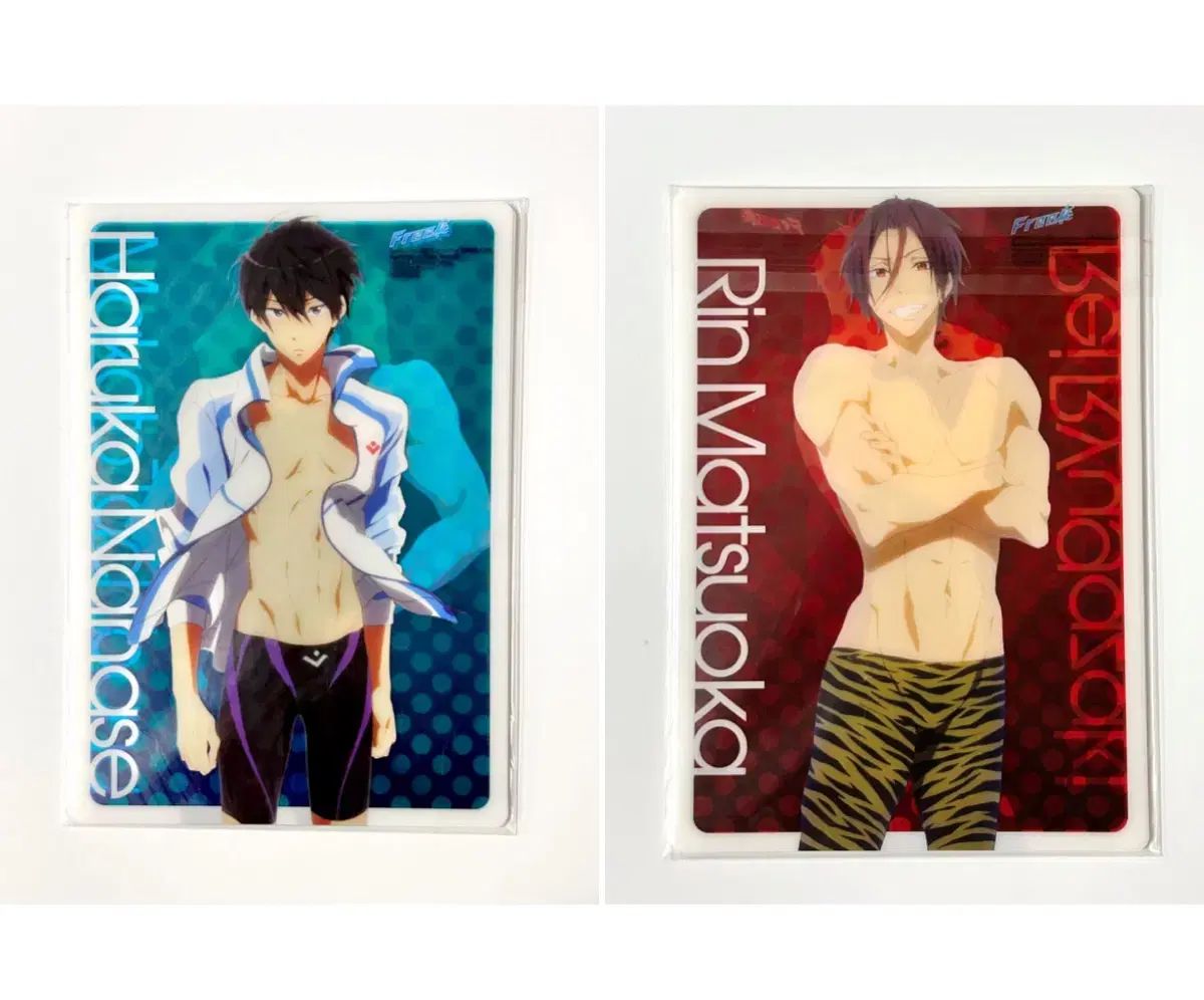 付録含むFree! 古典雑誌 七瀬遙 橘真琴 - メルカリ