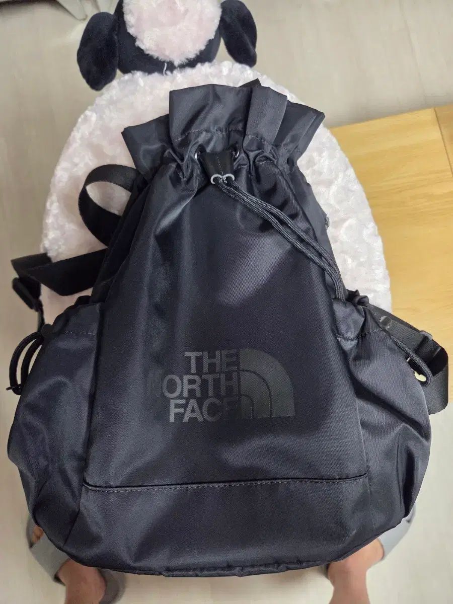 THE NORTH FACE ザノースフェイス ドローストリング バックパック ブラック