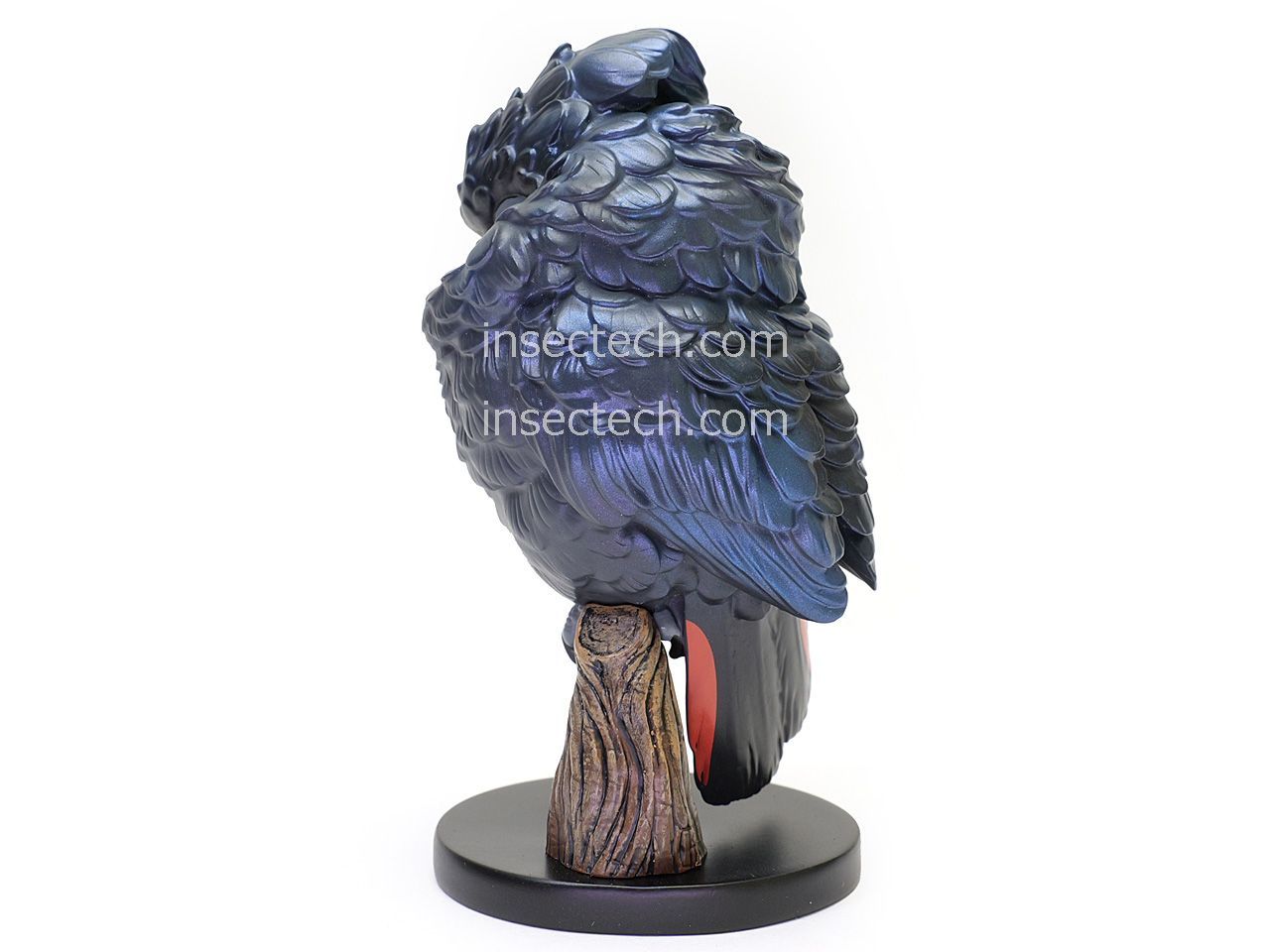 動物の惑星新年特別企画☆アカオクロオウム（シークレット