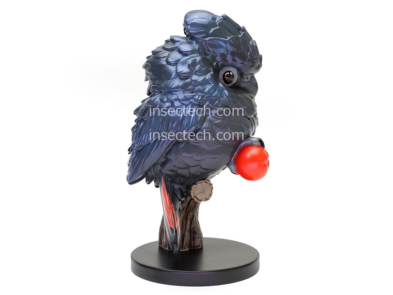 動物の惑星☆アカオクロオウム（シークレット）☆フィギュア 【動物の