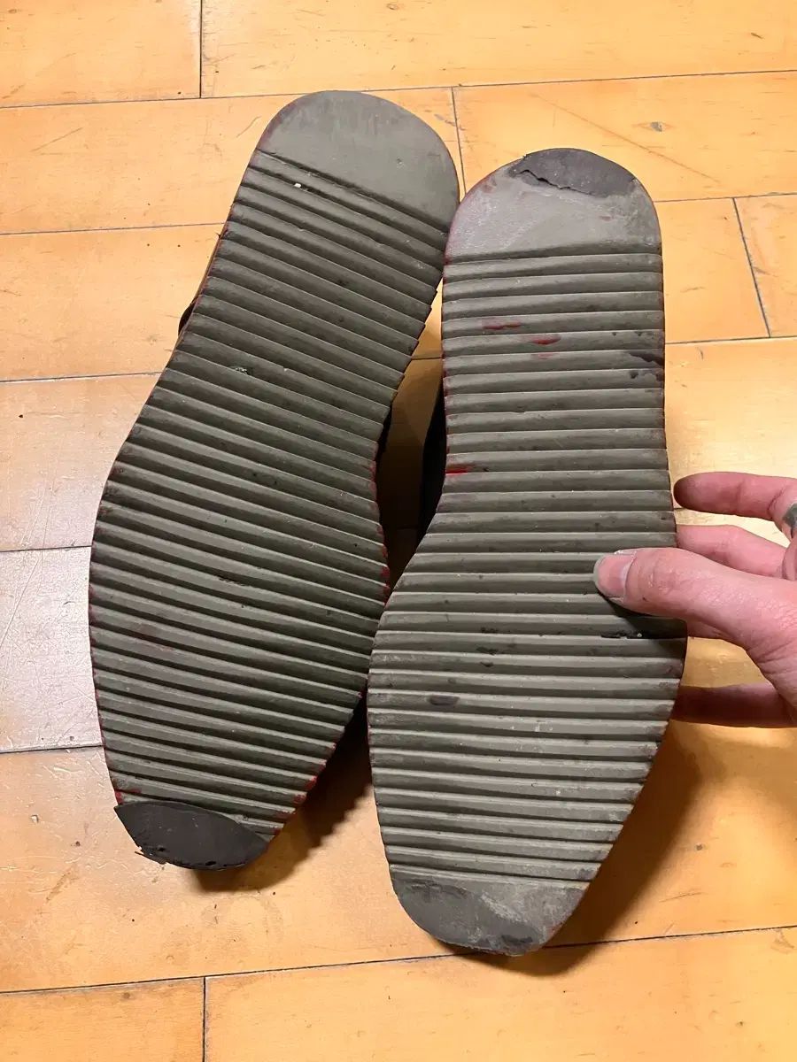 トゥ シャークソル