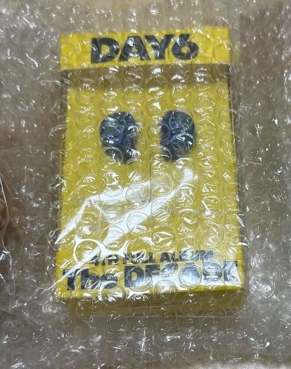 DAY 6 デイシックス ウォンピル WONPIL イヤホン