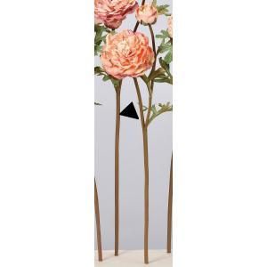 ASCA アスカ ラナンキュラスX 1 つぼみX A-34215-004 C 入数 12