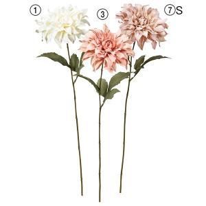 ASCA アスカ ダリア A-34214-001 入数 12