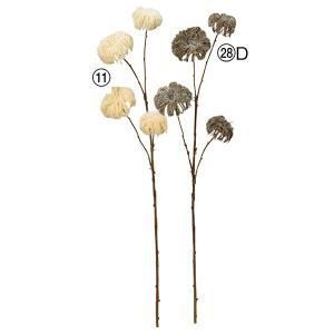 ASCA アスカ クレマチスシードスプレーX 4 A-34230-011 入数 24