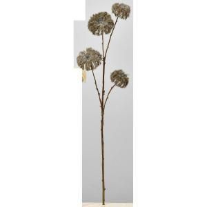 ASCA アスカ クレマチスシードスプレーX 4 A-34230-028 D 入数 24