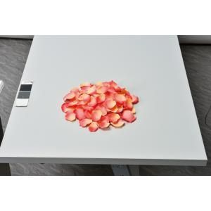 ASCA アスカ ローズペタル 1袋約 入 A-15735-014 入数 12