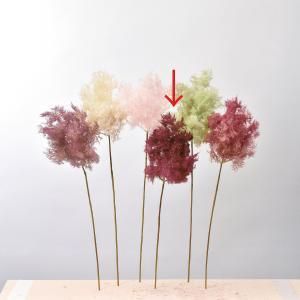 ASCA アスカ スモークツリー A-43746-015 入数 12