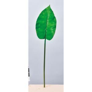 ASCA アスカ クワズイモ A-43728-051 A 入数 12