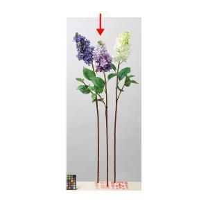 ASCA アスカ ライラック A-34118-017 入数 12