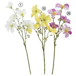 ASCA アスカ ノウゼンカズラX 5 A-34112-001 入数 12