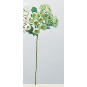 ASCA アスカ ローズX 18 A-33914-051 入数 12