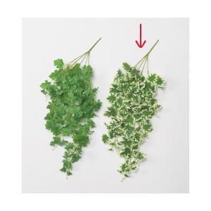 ASCA アスカ ゼラニウムハンギングブッシュ A-43628-051 V 入数 12