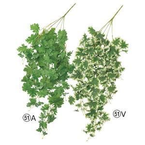 ASCA アスカ ゼラニウムハンギングブッシュ A-43628-051 A 入数 12