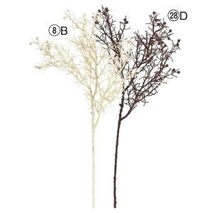 ASCA アスカ サイプレススプレー A-47929-008 B 入数 12