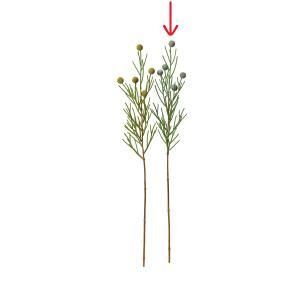 ASCA アスカ ベリースプレー A-47918-063 G 入数 24