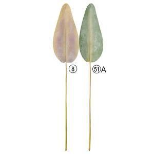 ASCA アスカ ストレチアリーフ A-43736-008 入数 6