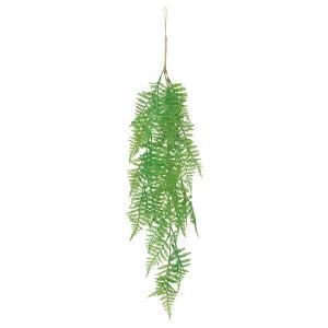 ASCA アスカ ハンギングファーンバイン A-43632-051 A 入数 6