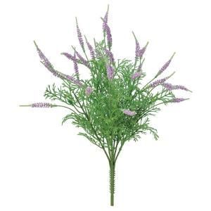 ASCA アスカ ラベンダーブッシュX 28 A-34165-006 入数 12