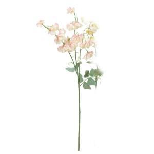 ASCA アスカ スイトピーX 16 A-34162-003 S 入数 12