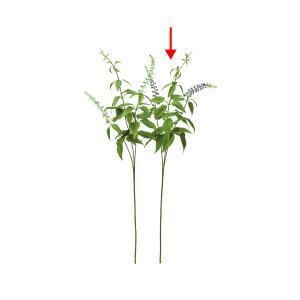 ASCA アスカ ワイルドフラワーX 2 A-34159-007 入数 24