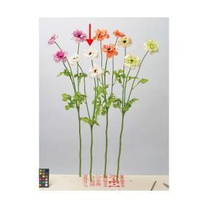 ASCA アスカ ラナンキュラスX 3 A-34152-011 入数 24