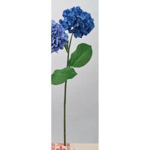 ASCA アスカ ハイドランジア A-34101-009 入数 12