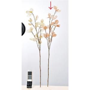 ASCA アスカ マネープラント A-43712-031 P 入数 12