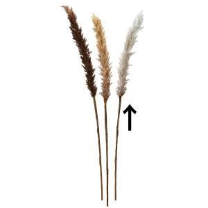 ASCA アスカ パンパス A-43614-078 L 入数 12